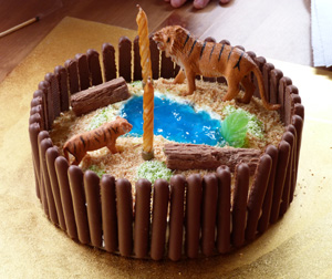 Lion's Cage cake