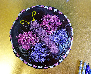 butterfly chocolate cake